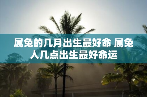 属兔的几月出生最好命 属兔人几点出生最好命运