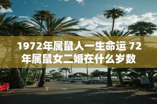 1972年属鼠人一生命运 72年属鼠女二婚在什么岁数