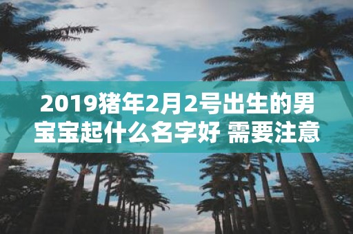 2019猪年2月2号出生的男宝宝起什么名字好 需要注意什么