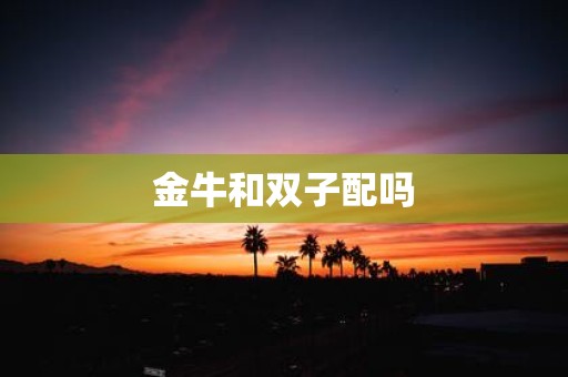 金牛和双子配吗