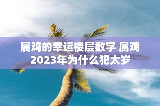 属鸡的幸运楼层数字 属鸡2025年为什么犯太岁