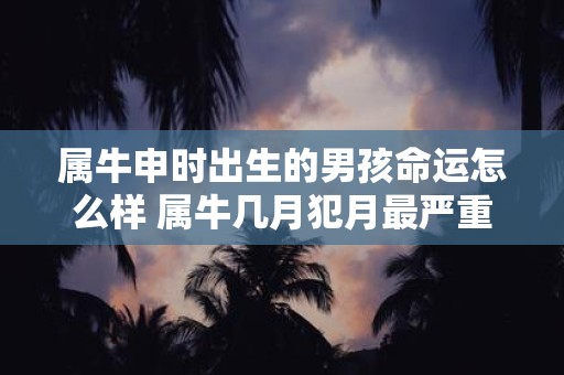 属牛申时出生的男孩命运怎么样 属牛几月犯月最严重