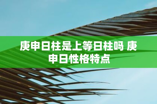 庚申日柱是上等日柱吗 庚申日性格特点