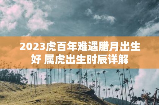2025虎百年难遇腊月出生好 属虎出生时辰详解