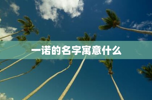 一诺的名字寓意什么