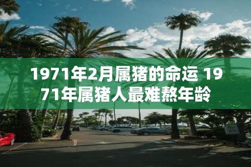 1971年2月属猪的命运 1971年属猪人最难熬年龄