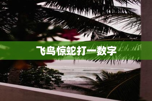 飞鸟惊蛇打一数字