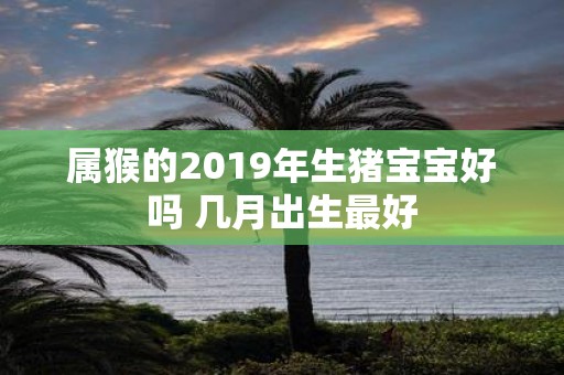 属猴的2019年生猪宝宝好吗 几月出生最好