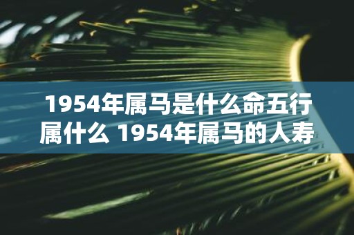 1954年属马是什么命五行属什么 1954年属马的人寿命短吗