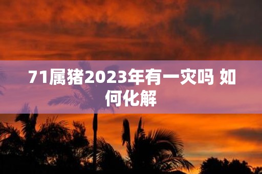 71属猪2025年有一灾吗 如何化解