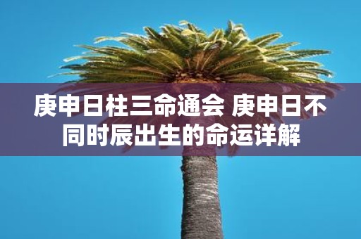 庚申日柱三命通会 庚申日不同时辰出生的命运详解