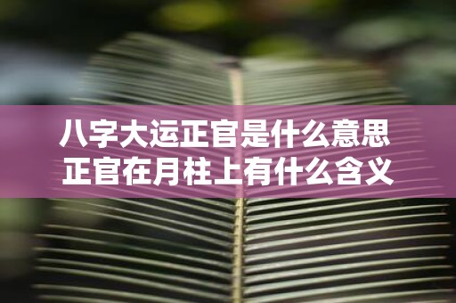 八字大运正官是什么意思 正官在月柱上有什么含义