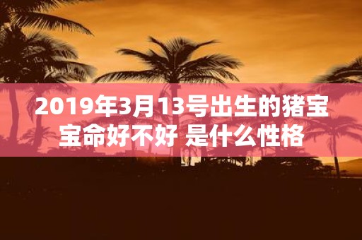 2019年3月13号出生的猪宝宝命好不好 是什么性格