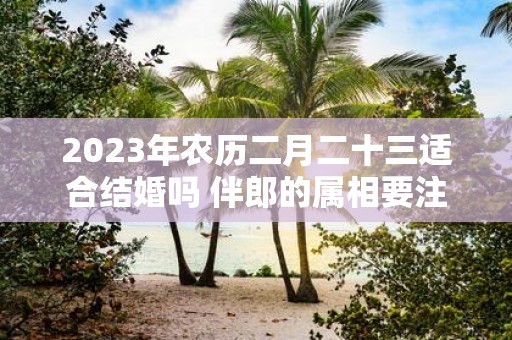2025年农历二月二十三适合结婚吗 伴郎的属相要注意什么