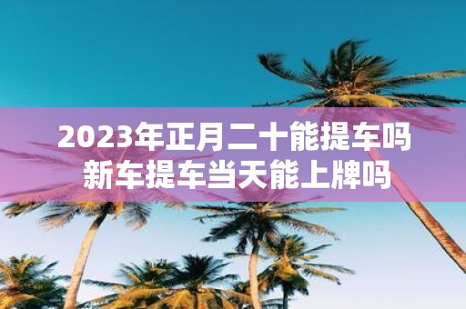 2025年正月二十能提车吗 新车提车当天能上牌吗