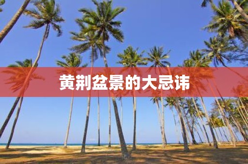 黄荆盆景的大忌讳