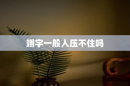 翊字一般人压不住吗