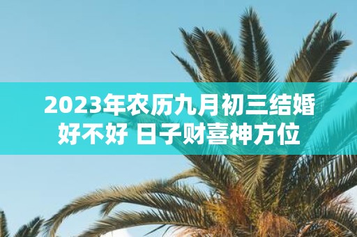 2025年农历九月初三结婚好不好 日子财喜神方位