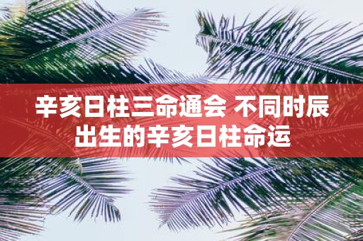 辛亥日柱三命通会 不同时辰出生的辛亥日柱命运