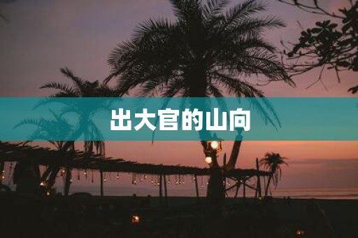 出大官的山向