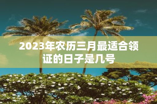 2025年农历三月最适合领证的日子是几号