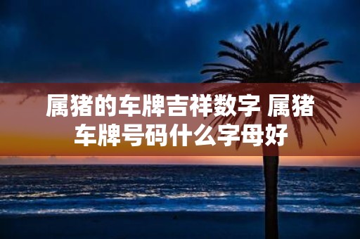 属猪的车牌吉祥数字 属猪车牌号码什么字母好