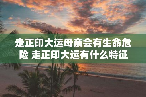 走正印大运母亲会有生命危险 走正印大运有什么特征