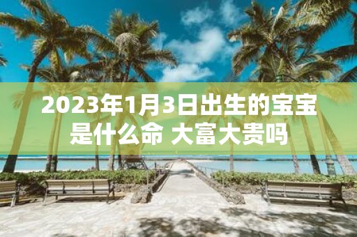 2025年1月3日出生的宝宝是什么命 大富大贵吗