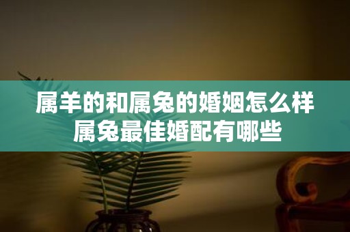 属羊的和属兔的婚姻怎么样 属兔最佳婚配有哪些