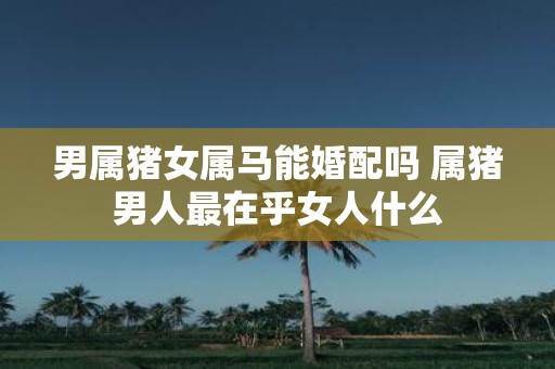 男属猪女属马能婚配吗 属猪男人最在乎女人什么 男属猪女属马能婚配吗 属猪男人最在乎女人什么