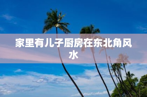 家里有儿子厨房在东北角风水