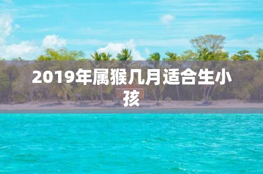 2019年属猴几月适合生小孩