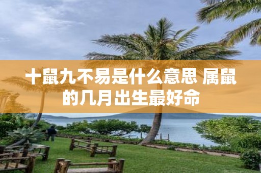 十鼠九不易是什么意思 属鼠的几月出生最好命