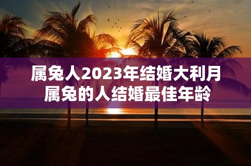 属兔人2025年结婚大利月 属兔的人结婚最佳年龄
