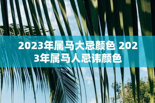 2025年属马大忌颜色 2025年属马人忌讳颜色