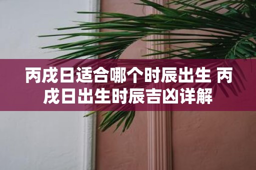 丙戌日适合哪个时辰出生 丙戌日出生时辰吉凶详解