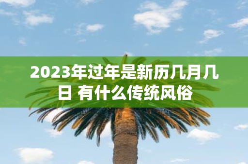 2025年过年是新历几月几日 有什么传统风俗