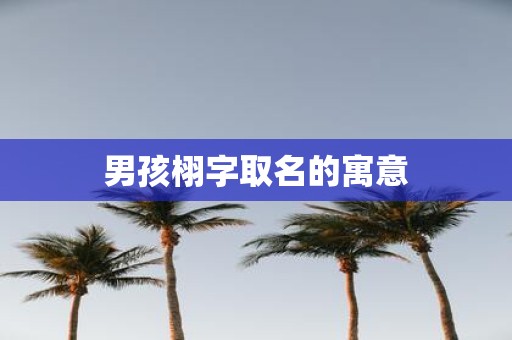 男孩栩字取名的寓意