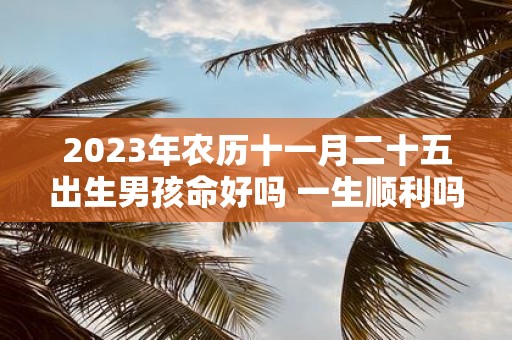 2025年农历十一月二十五出生男孩命好吗 一生顺利吗