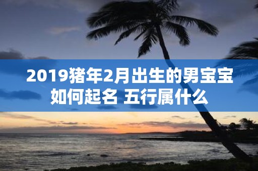 2019猪年2月出生的男宝宝如何起名 五行属什么