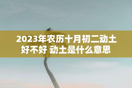 2025年农历十月初二动土好不好 动土是什么意思