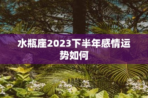 水瓶座2025下半年感情运势如何