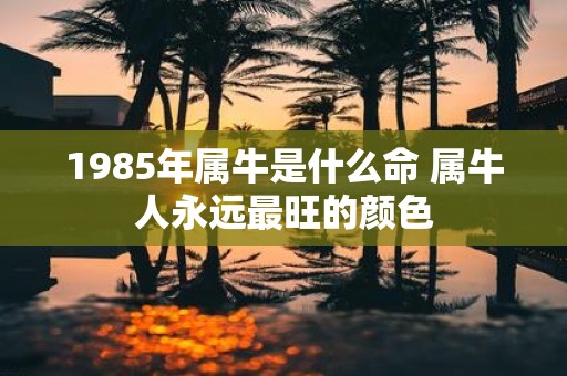 1985年属牛是什么命 属牛人永远最旺的颜色