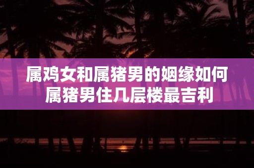 属鸡女和属猪男的姻缘如何 属猪男住几层楼最吉利