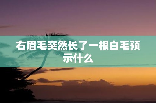 右眉毛突然长了一根白毛预示什么