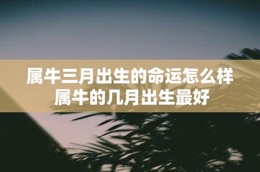 属牛三月出生的命运怎么样 属牛的几月出生最好