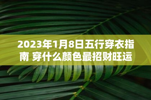 2025年1月8日五行穿衣指南 穿什么颜色最招财旺运