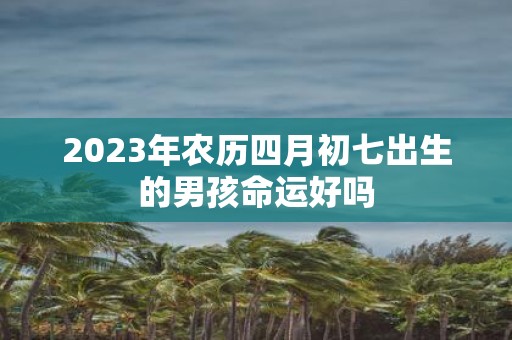 2025年农历四月初七出生的男孩命运好吗