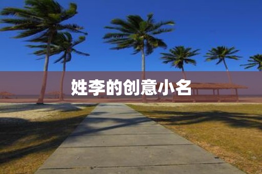 姓李的创意小名