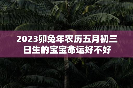 2025卯蛇年农历五月初三日生的宝宝命运好不好